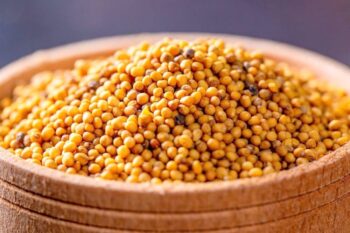Mustard Seeds /100g